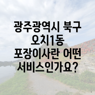 광주광역시 북구 오치1동 포장이사란 어떤 서비스인가요?