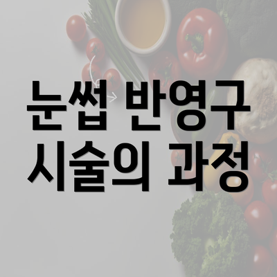 눈썹 반영구 시술의 과정