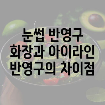 눈썹 반영구 화장과 아이라인 반영구의 차이점