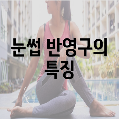 눈썹 반영구의 특징