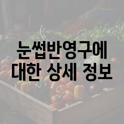 눈썹반영구에 대한 상세 정보