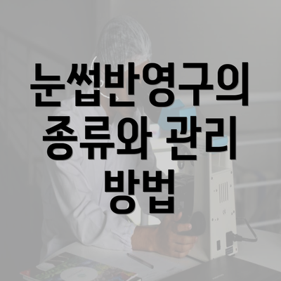 눈썹반영구의 종류와 관리 방법