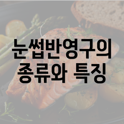 눈썹반영구의 종류와 특징