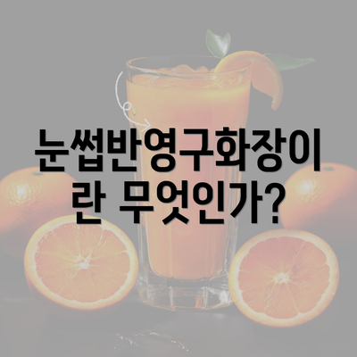 눈썹반영구화장이란 무엇인가?