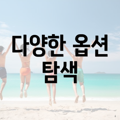 다양한 옵션 탐색