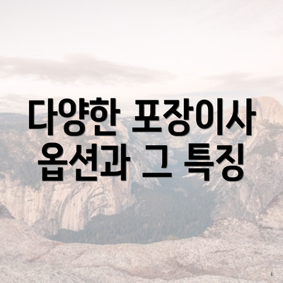 다양한 포장이사 옵션과 그 특징