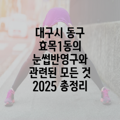 대구시 동구 효목1동의 눈썹반영구와 관련된 모든 것 2025 총정리