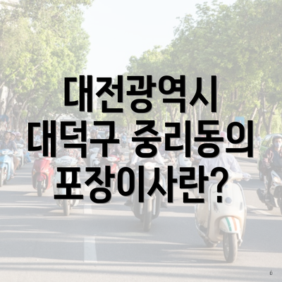 대전광역시 대덕구 중리동의 포장이사란?