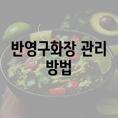 반영구화장 관리 방법