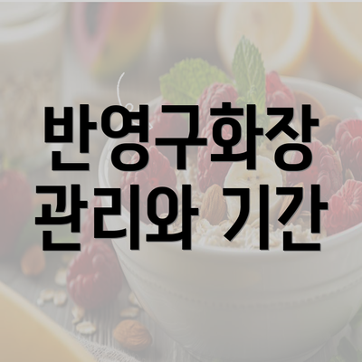 반영구화장 관리와 기간