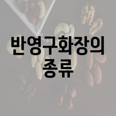 반영구화장의 종류