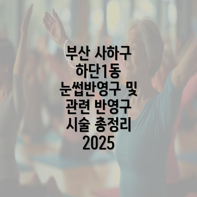 부산 사하구 하단1동 눈썹반영구 및 관련 반영구 시술 총정리 2025