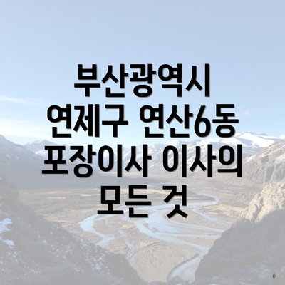 부산광역시 연제구 연산6동 포장이사 이사의 모든 것