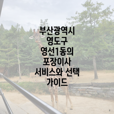 부산광역시 영도구 영선1동의 포장이사 서비스와 선택 가이드