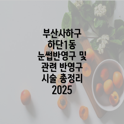 부산사하구 하단1동 눈썹반영구 및 관련 반영구 시술 총정리 2025