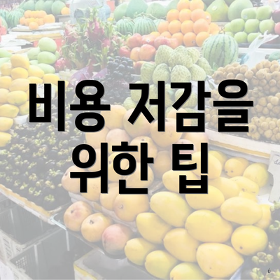 비용 저감을 위한 팁