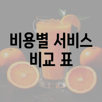 비용별 서비스 비교 표