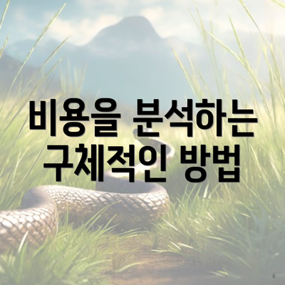 비용을 분석하는 구체적인 방법