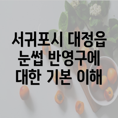 서귀포시 대정읍 눈썹 반영구에 대한 기본 이해