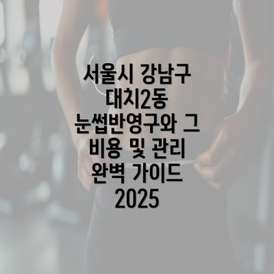 서울시 강남구 대치2동 눈썹반영구와 그 비용 및 관리 완벽 가이드 2025