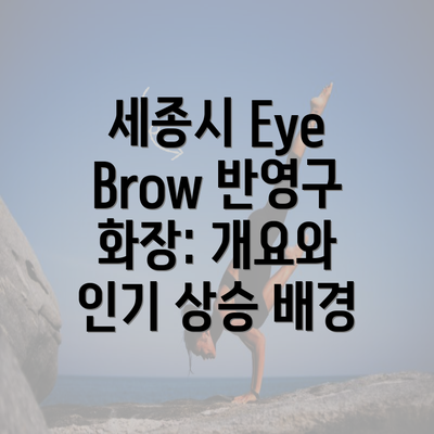 세종시 Eye Brow 반영구 화장: 개요와 인기 상승 배경