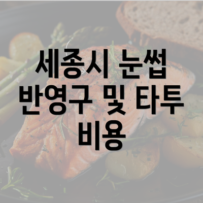 세종시 눈썹 반영구 및 타투 비용