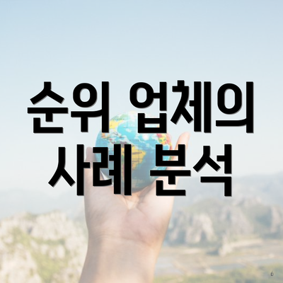 순위 업체의 사례 분석