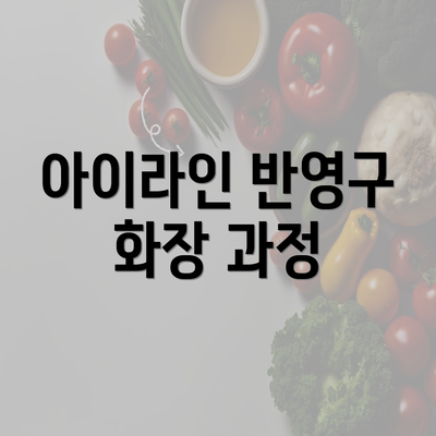 아이라인 반영구 화장 과정