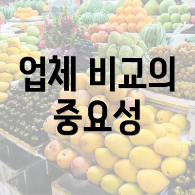 업체 비교의 중요성