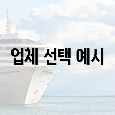 업체 선택 예시