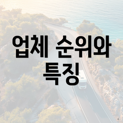 업체 순위와 특징