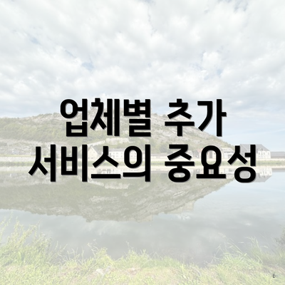 업체별 추가 서비스의 중요성