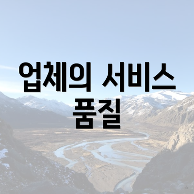 업체의 서비스 품질