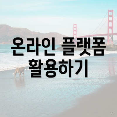 온라인 플랫폼 활용하기