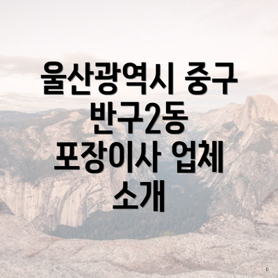 울산광역시 중구 반구2동 포장이사 업체 소개