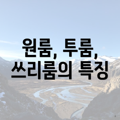 원룸, 투룸, 쓰리룸의 특징