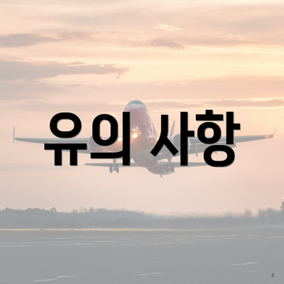 유의 사항