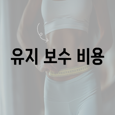 유지 보수 비용