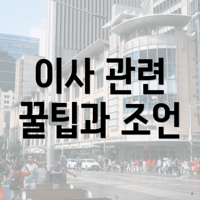 이사 관련 꿀팁과 조언