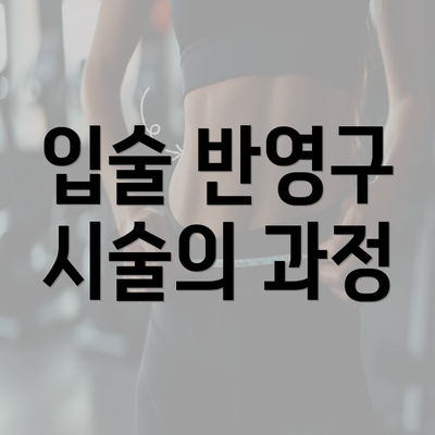 입술 반영구 시술의 과정