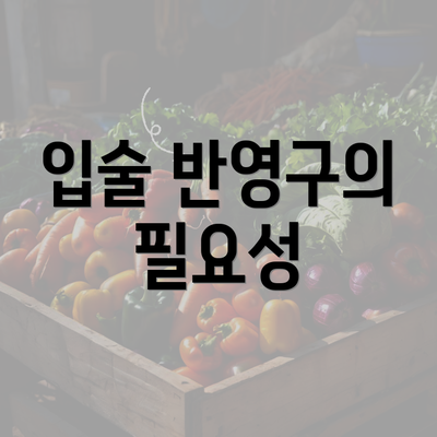 입술 반영구의 필요성