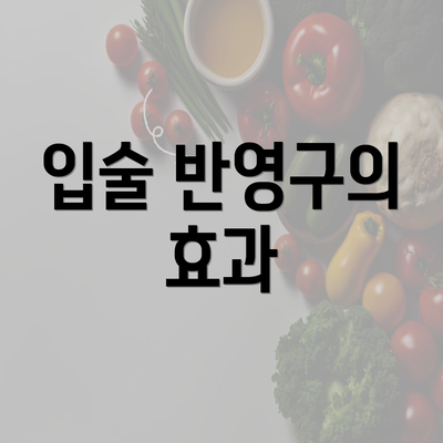 입술 반영구의 효과