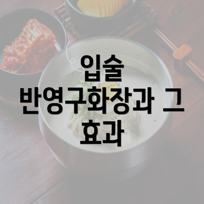 입술 반영구화장과 그 효과