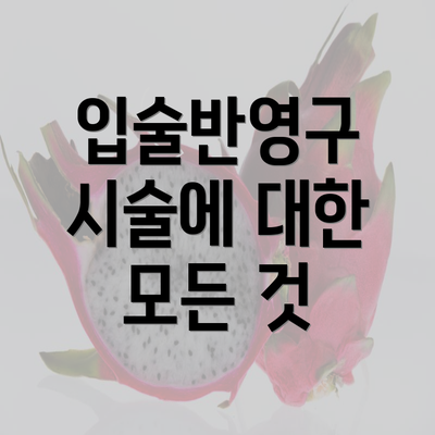 입술반영구 시술에 대한 모든 것