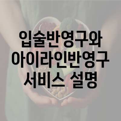 입술반영구와 아이라인반영구 서비스 설명