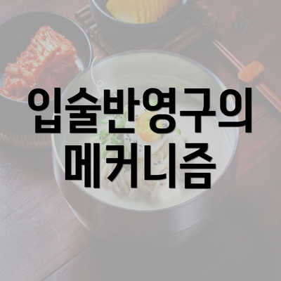 입술반영구의 메커니즘