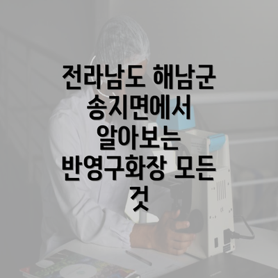 전라남도 해남군 송지면에서 알아보는 반영구화장 모든 것