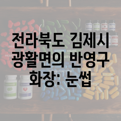 전라북도 김제시 광활면의 반영구 화장: 눈썹