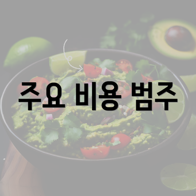 주요 비용 범주