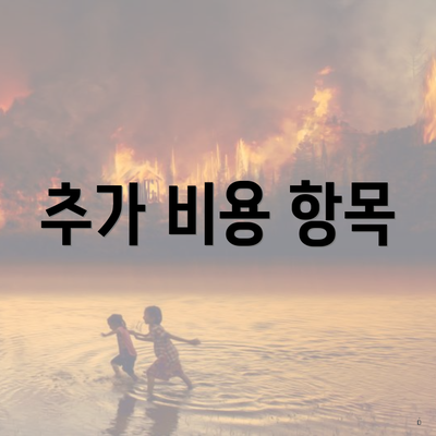 추가 비용 항목